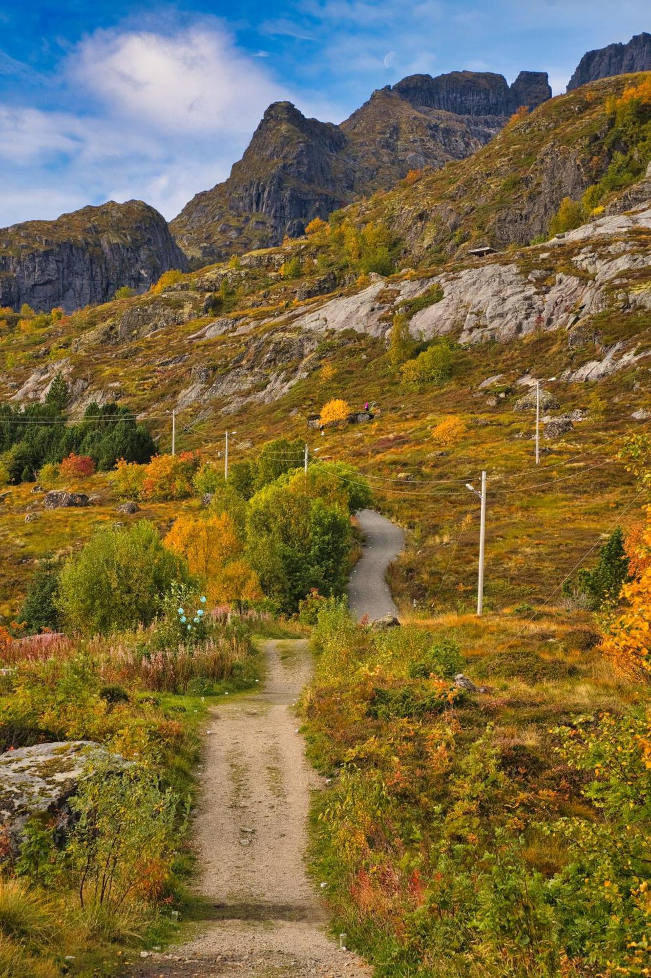 Lofoten Planet Studio Sørvågen 외부 사진